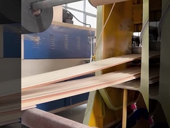 Фабрики панелей стены WPC водоустойчивое звукоизоляционной сразу и влагостойкий