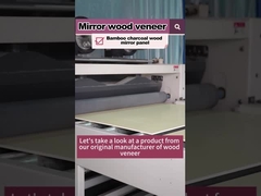 Горячая продажа Продукт 5MM 8MM Дерево Зерно Дерево Фанера Бамбук Уголь ПВХ Стенная панель