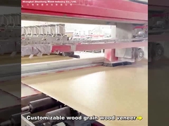 2.44м Бамбуковый угольный настенный щит современный светлый роскошный индивидуальный длина ПВХ Карбоновый кристаллический настенный щит